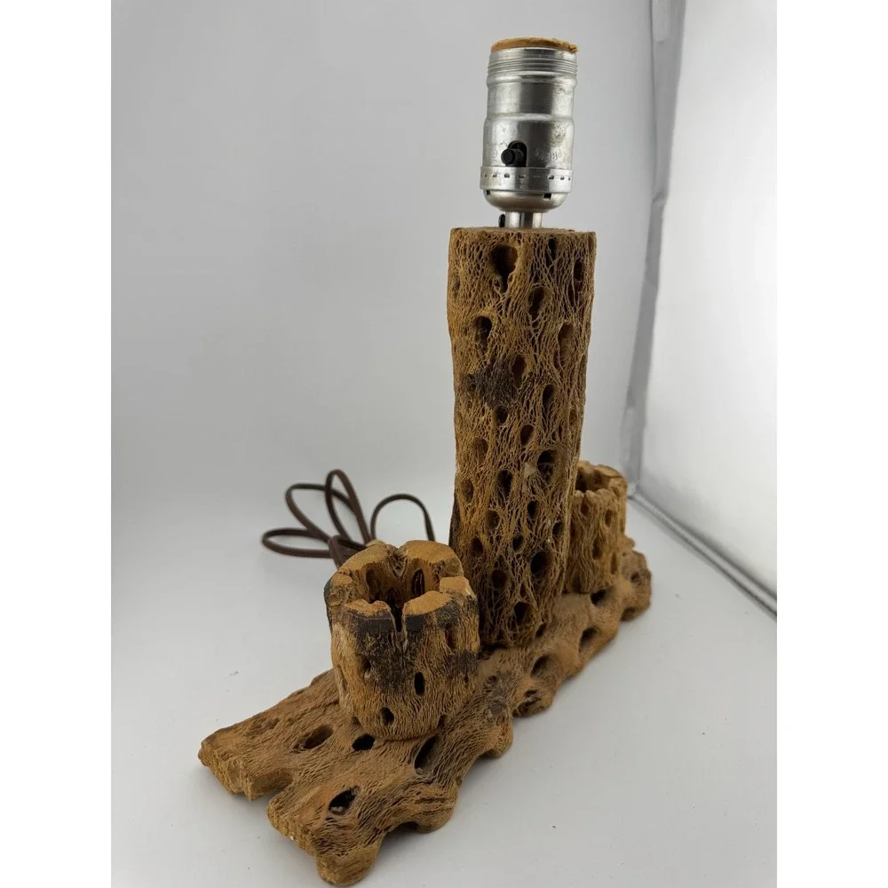 Cholla Cactus Lamp Rustic Desert‎ Decor Table Lamp Unique Accent Lighting